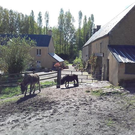 فيلا Gite Du Jardin Des Sources Vaux-sur-Seulles المظهر الخارجي الصورة