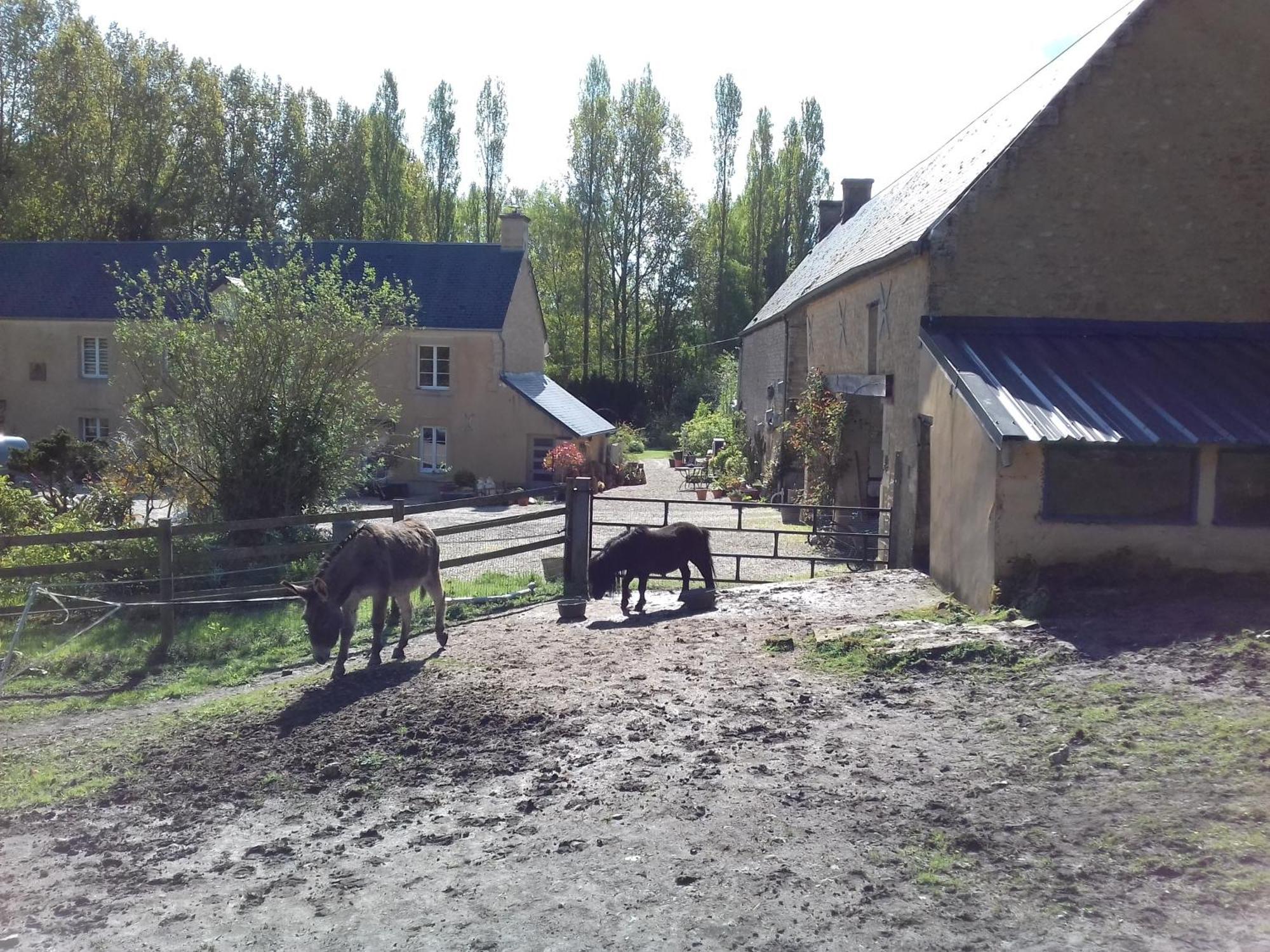 فيلا Gite Du Jardin Des Sources Vaux-sur-Seulles المظهر الخارجي الصورة